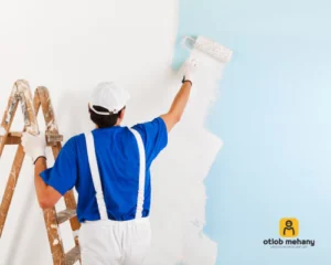 صباغ الظهر، صباغ في الظهر، ارقام صباغ الظهر